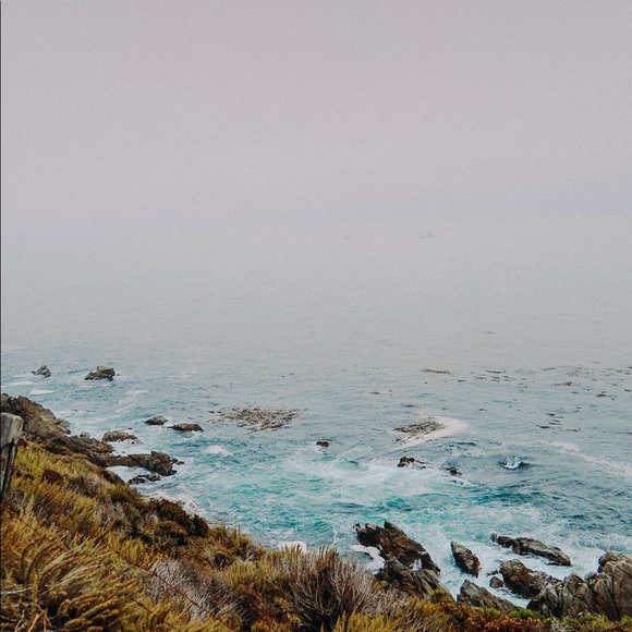 Meet your Posher, Renée - Picture 1 of 1